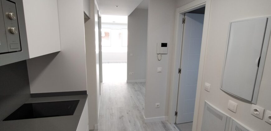 Adelfas 4 – Estudio D