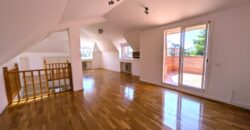 Chalet Parque Conde de Orgaz – A.L.