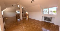 Chalet Parque Conde de Orgaz – A.L.